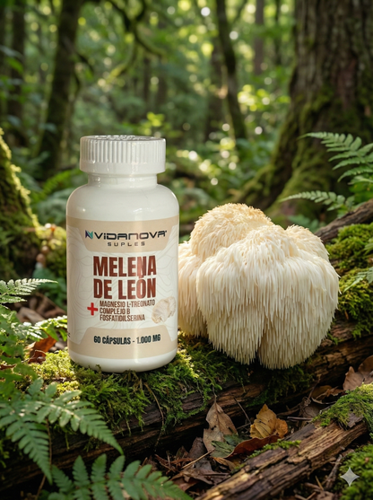 MELENA DE LEON FORTIFICADA