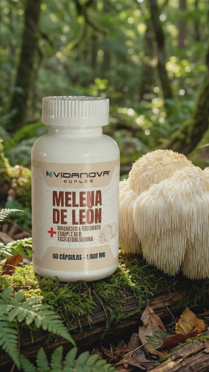 MELENA DE LEON FORTIFICADA